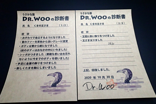 call_dr_woo_p8.jpg