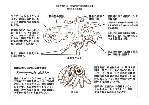 gfl_no2a.jpg