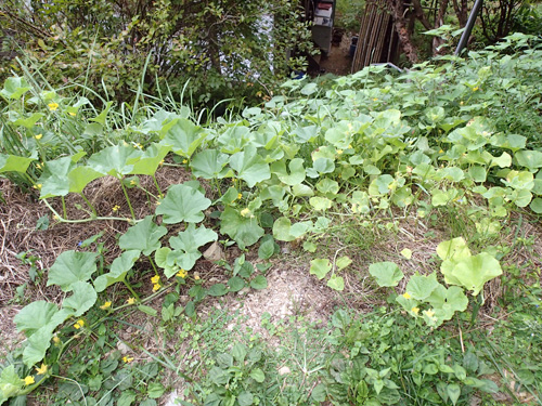 PA031289.jpg